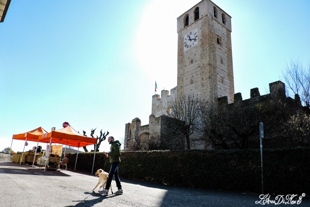 Castellaro Lagusello torre