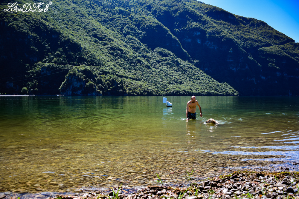 Lago d'Idro bagno cane