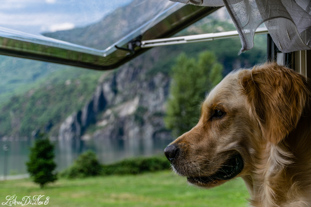 Lago Novate Mezzola in camper con cani