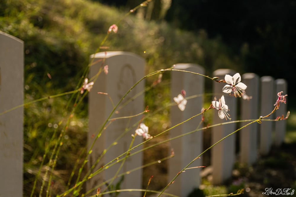 Gradara cimitero della guerra tombe
