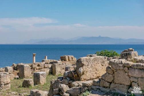 Scavi archeologici antica città di Tharros