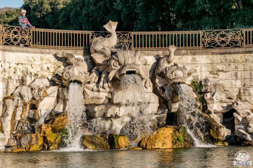 Reggia di Caserta, Fontana dei Delfini