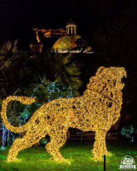 Salerno, luci d'artista, leone e vista notturna della Rocca