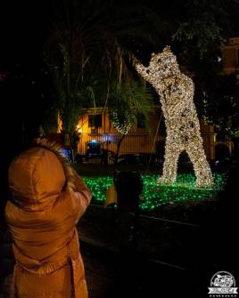 Salerno, luci d'artista, orso