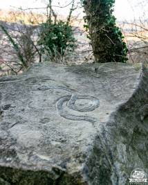 Animali scolpiti sulle rocce alla Pietra di Bismantova