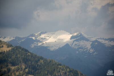 Alpi Retiche