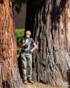 Sequoie centenarie a Clusone